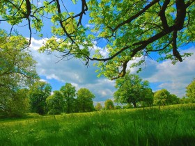 美特公司企业实景