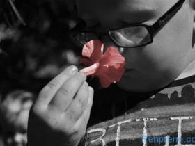 如何快速鉴别各种不同的弹性体?TPV,TPE-S、软PVC、TPU、TPEE、硅胶等