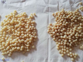 为什么有的TPV颜色每批次色差比较大?