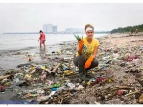 史上最强禁塑令后,该用什么吸管喝饮料?
