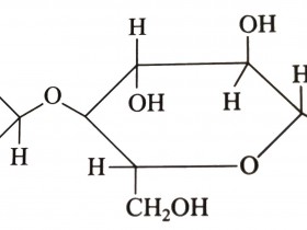 聚合物的酯化、醚化和水解改性