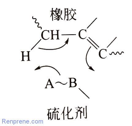 橡胶硫化之酚类硫化剂、苯醌衍生物或双马来酰亚胺硫化