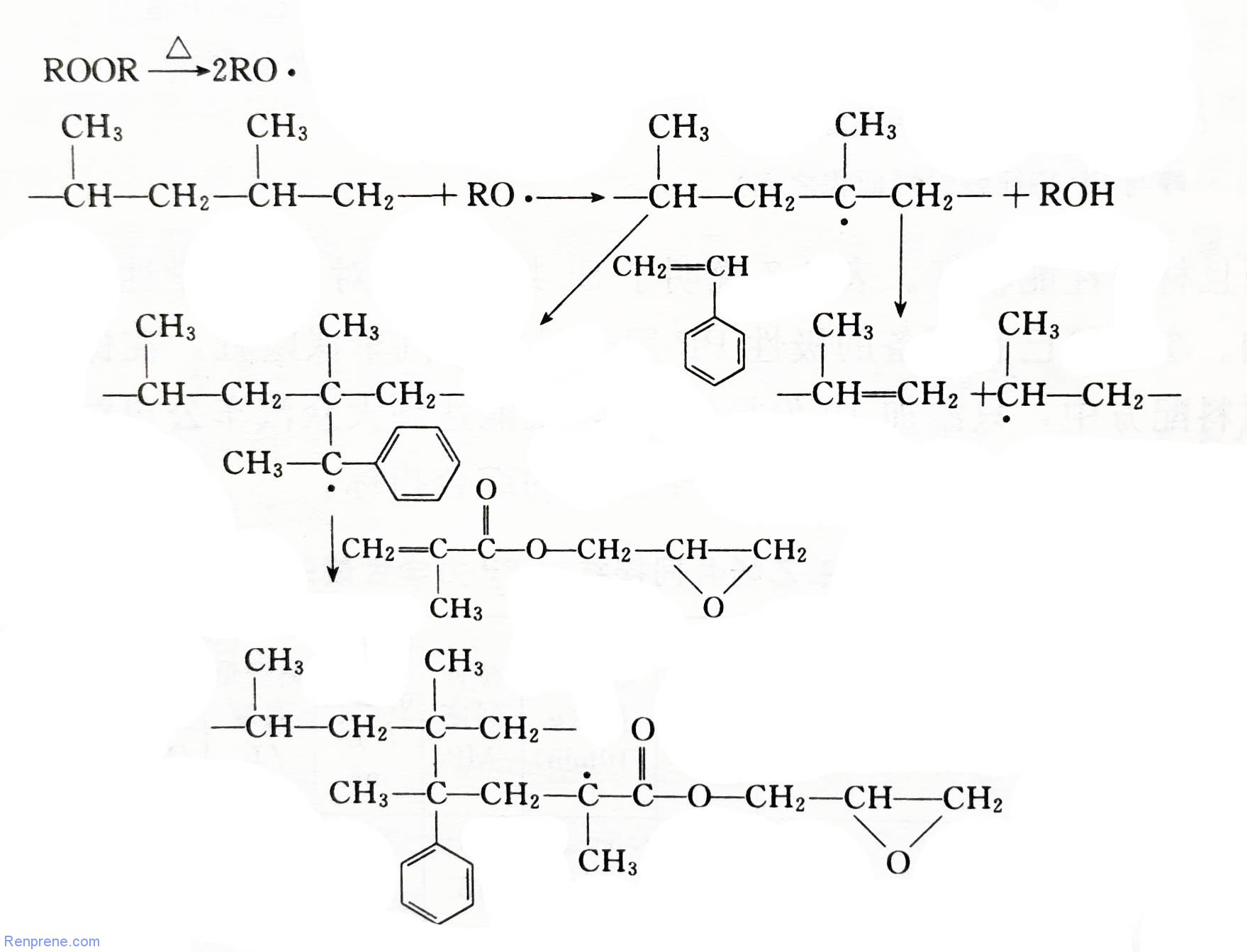 多单体接枝聚丙烯的机理及共单体的作用机制